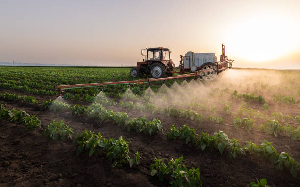 Best Pest Control Treatment  in Mayville, ND