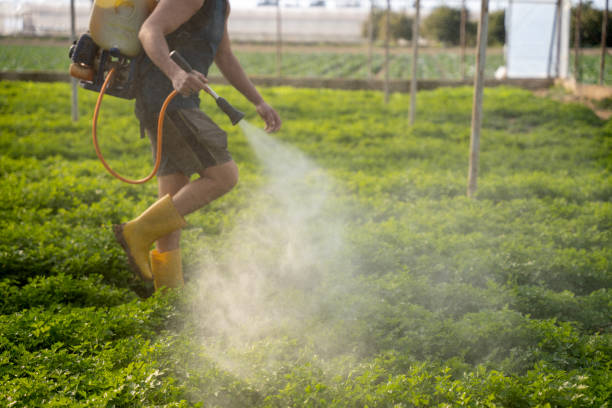 Best Best Pest Control Near Me  in Mayville, ND