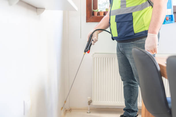 Best Emergency Pest Control  in Mayville, ND