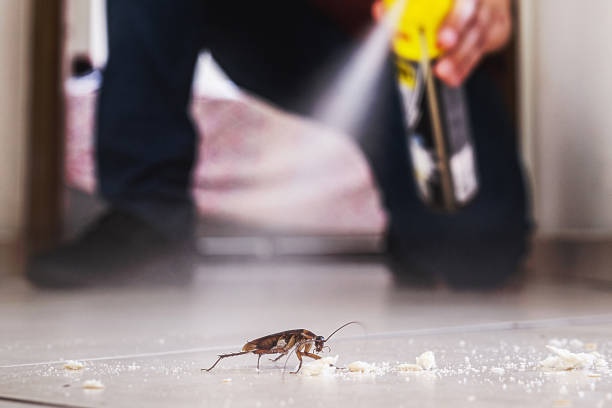 Pest Control for Restaurants in Mayville, ND