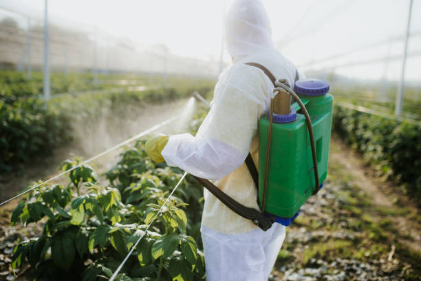 Best Local Pest Control Services  in Mayville, ND